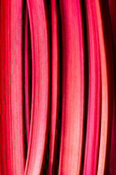 nikon-image