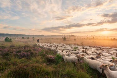 For Nikon magazine - World photography day