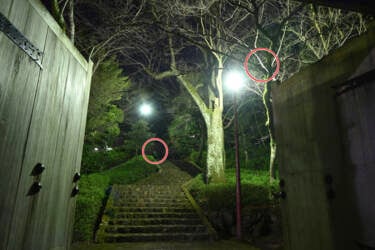 S line: the pinncale of NIKKOR lenses