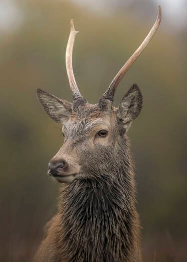 Nikon magazine - The Set Up