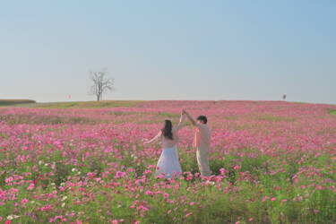 nikon-image