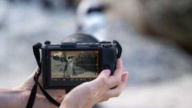 Nikon magazine - Roxy Hemadani and the ZR