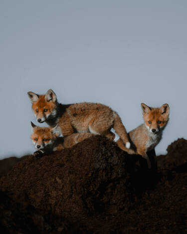 Nikon magazine - NIC spring challenge