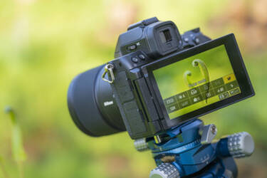 Nikon magazine - macro photography with spring flowers