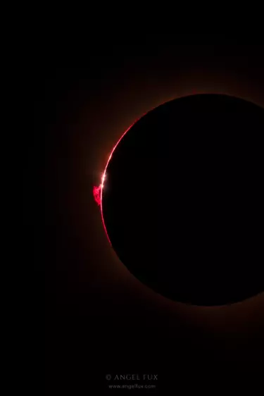 nikon-image